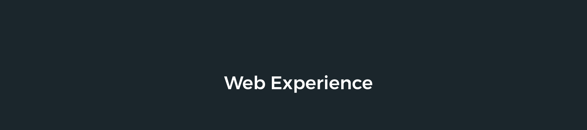 web-exp