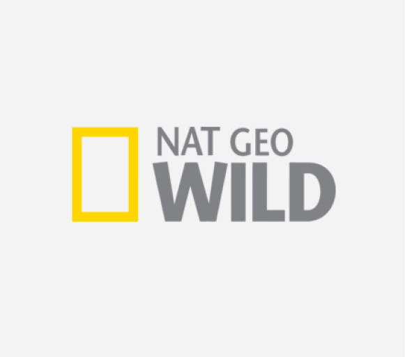 Disney Day (NatGeo)